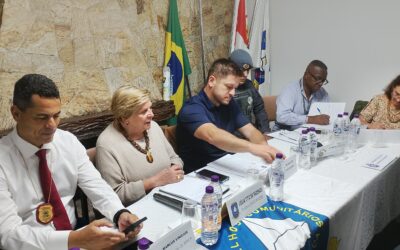 Reunião Plenária em 03/03/2026